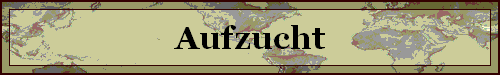 Aufzucht