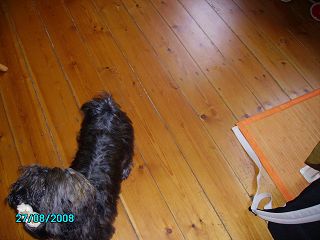 Emil aus Laage fhlt sich wohl.